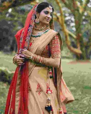 Bridal Wedding Saree